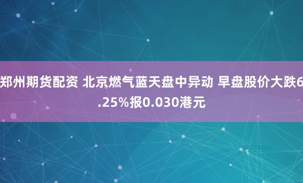 郑州期货配资 北京燃气蓝天盘中异动 早盘股价大跌6.25%报0.030港元